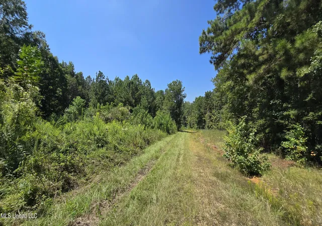 Homes for sale in Brookhaven, MS | 00 Nw Oil Field Ln, Brookhaven, MS 39601 | MLS# 4127100