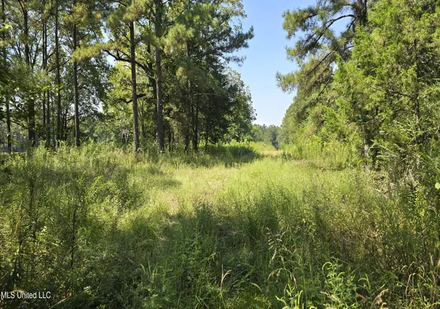 Homes for sale in Brookhaven, MS | 00 Nw Oil Field Ln, Brookhaven, MS 39601 | MLS# 4127100