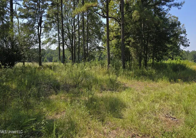 Homes for sale in Brookhaven, MS | 00 Nw Oil Field Ln, Brookhaven, MS 39601 | MLS# 4127100