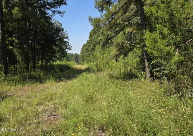 Homes for sale in Brookhaven, MS | 00 Nw Oil Field Ln, Brookhaven, MS 39601 | MLS# 4127100