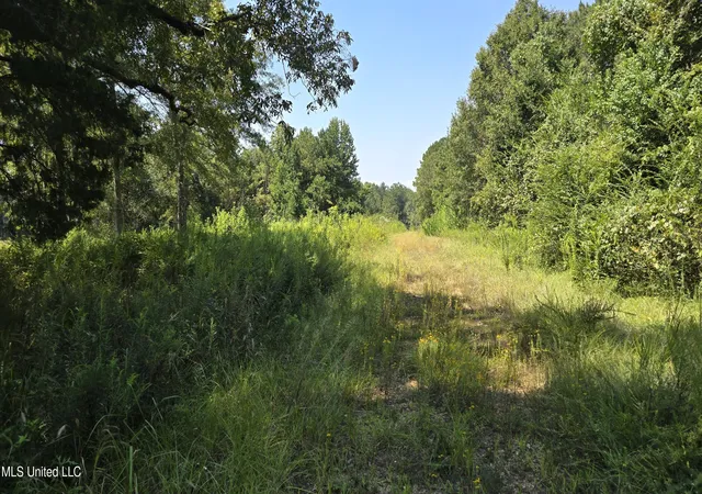 Homes for sale in Brookhaven, MS | 00 Nw Oil Field Ln, Brookhaven, MS 39601 | MLS# 4127100