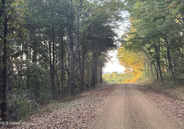 Homes for sale in Coldwater, MS | 0 Cooperlow Rd, Coldwater, MS 38618 | MLS# 4127109