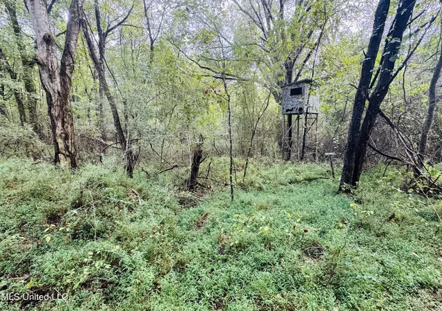 Homes for sale in Coldwater, MS | 0 Cooperlow Rd, Coldwater, MS 38618 | MLS# 4127109
