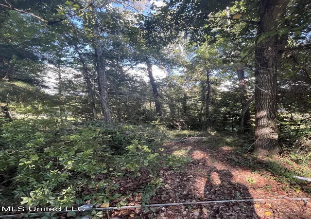 Photo 3 of Land for sale at 2520 Bahama Dr, Gautier, MS 39553 | MLS# 4127715 | Listing updated on 2026-03-30