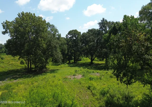 5th image of 217 Weisenberger Rd, Madison, MS 39110 | MLS# 4127868