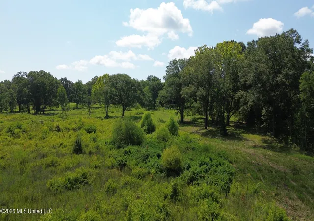3rd image of 217 Weisenberger Rd, Madison, MS 39110 | MLS# 4127868