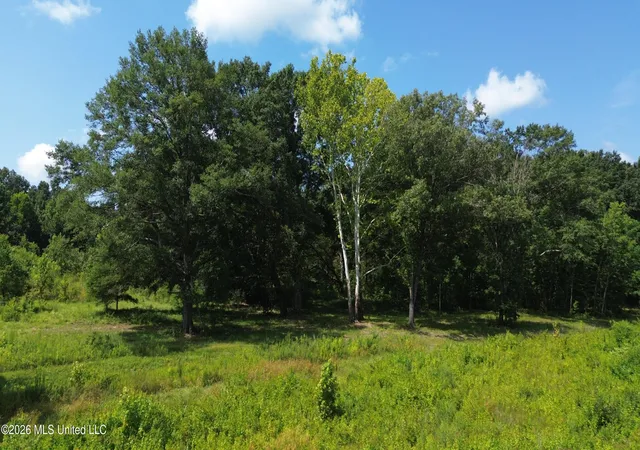 22nd image of 217 Weisenberger Rd, Madison, MS 39110 | MLS# 4127868
