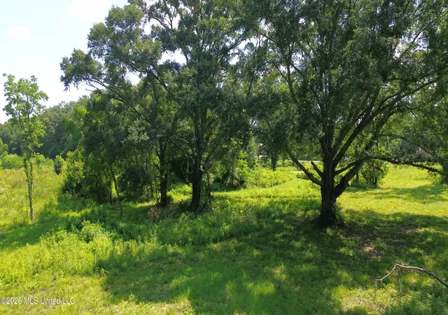 4th image of 217 Weisenberger Rd, Madison, MS 39110 | MLS# 4127868