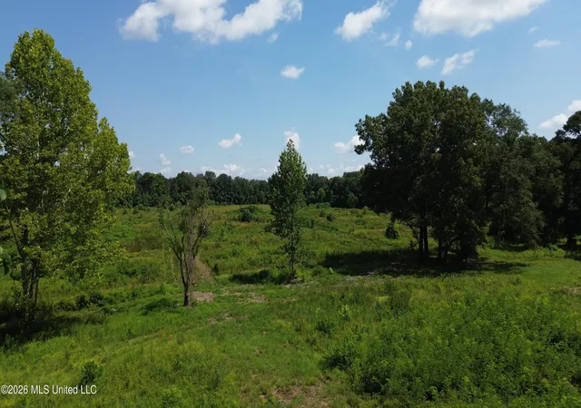 Photo 4 of Land for sale at 217 Weisenberger Rd, Madison, MS 39110 | MLS# 4127868 | Listing updated on 2026-09-11