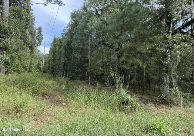 Photo 3 of Land for sale at Hwy 604 & 1st Ave, Pearlington, MS 39572 | MLS# 4128162 | Listing updated on 2026-06-29