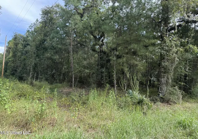 Photo 3 of Land for sale at Hwy 604 & 1st Ave, Pearlington, MS 39572 | MLS# 4128162 | Listing updated on 2026-06-29