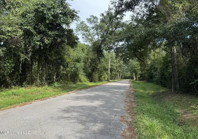 Photo 4 of Land for sale at Hwy 604 & 1st Ave, Pearlington, MS 39572 | MLS# 4128162 | Listing updated on 2026-06-29