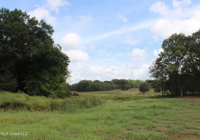 Photo 1 of Land for sale at 10 Hickory Holw Rd, Byhalia, MS 38611 | MLS# 4128133 | Listing updated on 2026-03-30