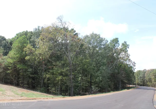 Photo 2 of Land for sale at 10 Hickory Holw Rd, Byhalia, MS 38611 | MLS# 4128133 | Listing updated on 2026-03-30