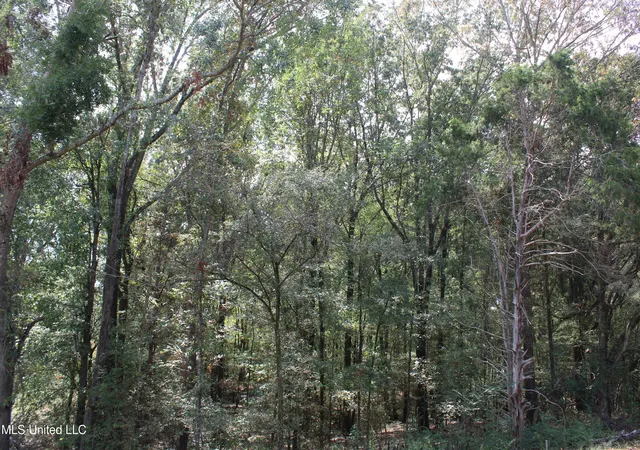 Photo 3 of Land for sale at 10 Hickory Holw Rd, Byhalia, MS 38611 | MLS# 4128133 | Listing updated on 2026-03-30