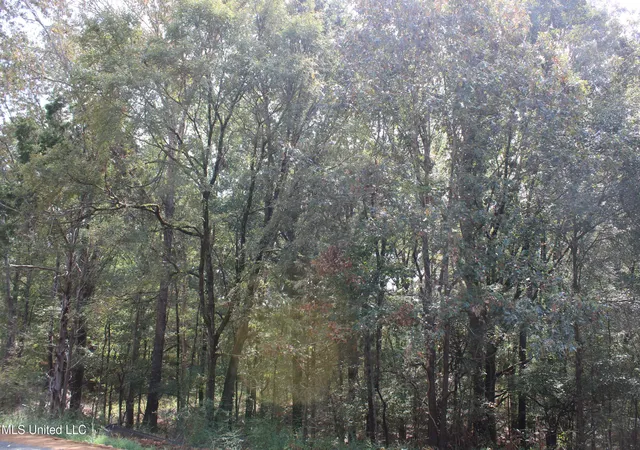 Photo 3 of Land for sale at 10 Hickory Holw Rd, Byhalia, MS 38611 | MLS# 4128133 | Listing updated on 2026-03-30