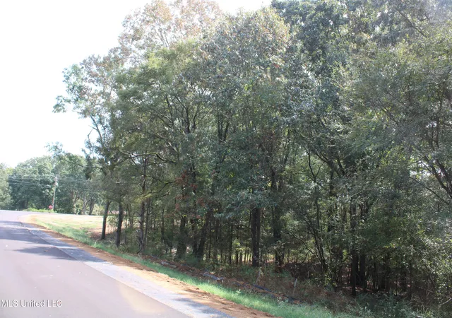 Photo 4 of Land for sale at 10 Hickory Holw Rd, Byhalia, MS 38611 | MLS# 4128133 | Listing updated on 2026-03-30