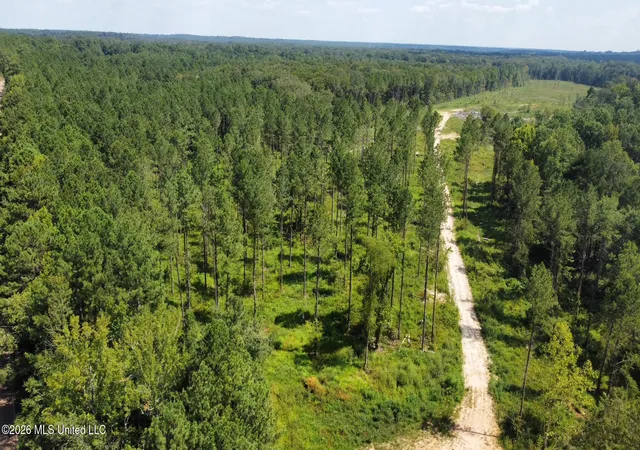 Photo 1 of Land for sale at 0 Highway 469, Florence, MS 39073 | MLS# 4128196 | Listing updated on 2026-09-09