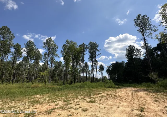 Photo 2 of Land for sale at 0 Highway 469, Florence, MS 39073 | MLS# 4128196 | Listing updated on 2026-09-09