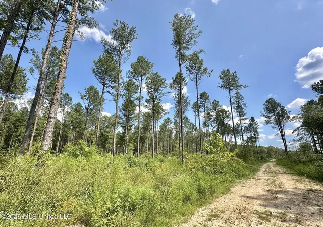 Photo 3 of Land for sale at 0 Highway 469, Florence, MS 39073 | MLS# 4128196 | Listing updated on 2026-09-09