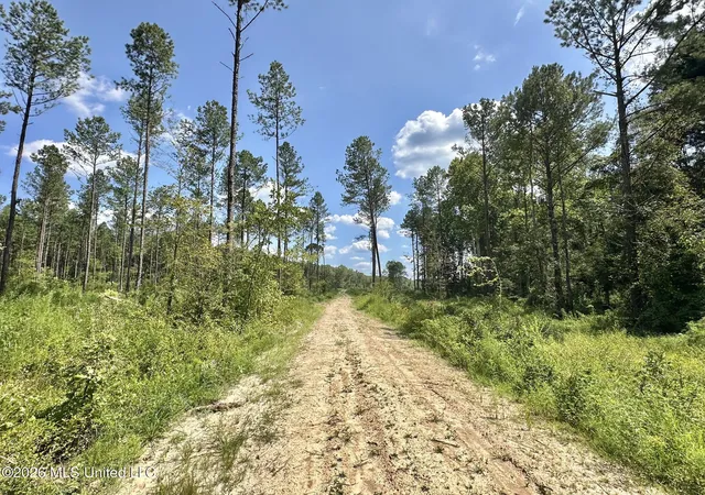 Photo 3 of Land for sale at 0 Highway 469, Florence, MS 39073 | MLS# 4128196 | Listing updated on 2026-09-09