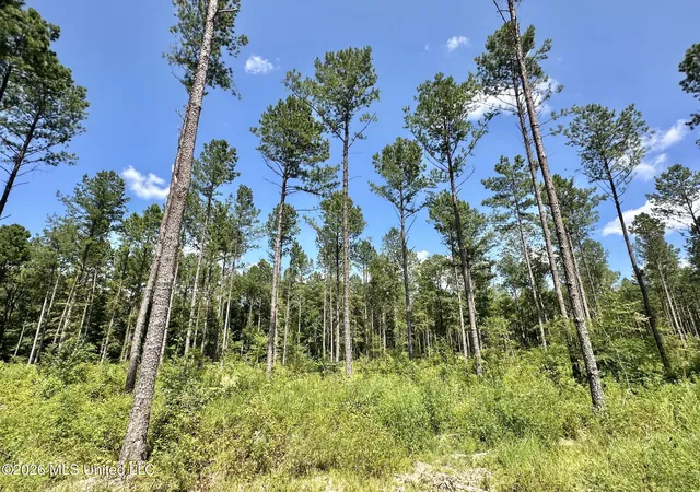 Photo 4 of Land for sale at 0 Highway 469, Florence, MS 39073 | MLS# 4128196 | Listing updated on 2026-09-09