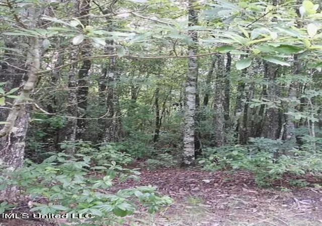 Photo 3 of Sale Pending at 19144 Cemetery Rd, Saucier, MS 39574 | MLS# 4128618 | Listing updated on 2026-03-30
