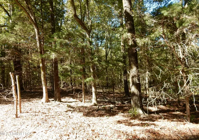 Homes for sale in Senatobia, MS | Lot 1 N Crockett Rd, Senatobia, MS 38668 | MLS# 4128822