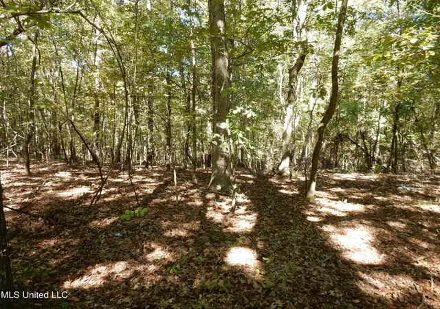 Homes for sale in Senatobia, MS | Lot 1 N Crockett Rd, Senatobia, MS 38668 | MLS# 4128822
