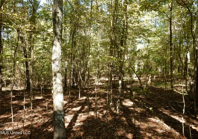 Homes for sale in Senatobia, MS | Lot 1 N Crockett Rd, Senatobia, MS 38668 | MLS# 4128822