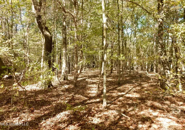 Homes for sale in Senatobia, MS | Lot 2 N Crockett Rd, Senatobia, MS 38668 | MLS# 4128826