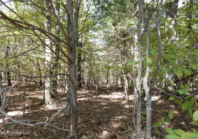 Homes for sale in Senatobia, MS | Lot 2 N Crockett Rd, Senatobia, MS 38668 | MLS# 4128826