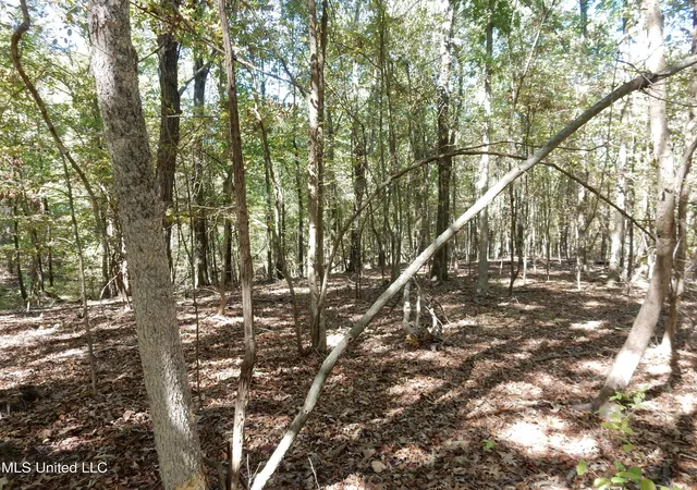 Homes for sale in Senatobia, MS | Lot 2 N Crockett Rd, Senatobia, MS 38668 | MLS# 4128826