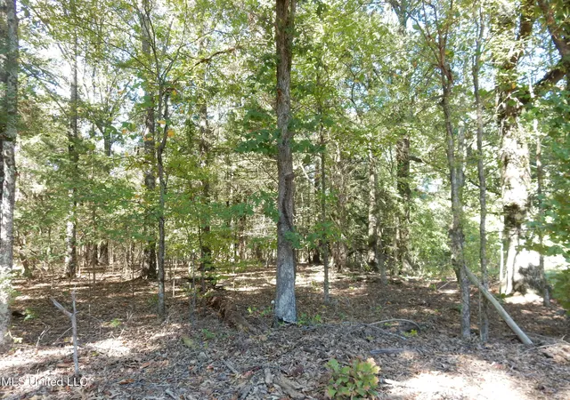 Homes for sale in Senatobia, MS | Lot 3 N Crockett Rd, Senatobia, MS 38668 | MLS# 4128827
