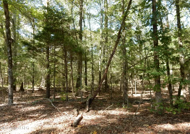 Homes for sale in Senatobia, MS | Lot 3 N Crockett Rd, Senatobia, MS 38668 | MLS# 4128827