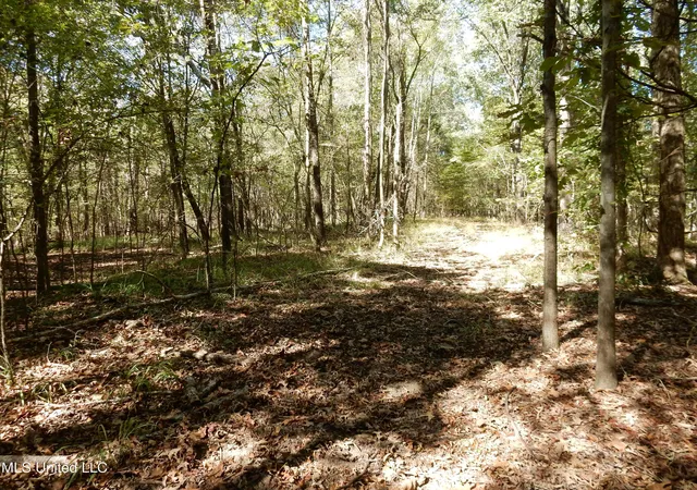 Homes for sale in Senatobia, MS | Lot 3 N Crockett Rd, Senatobia, MS 38668 | MLS# 4128827