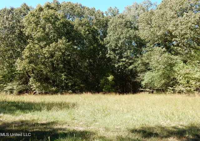 Homes for sale in Senatobia, MS | Lot 4 N Crockett Rd, Senatobia, MS 38668 | MLS# 4128830