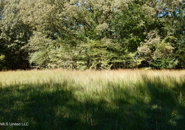 Homes for sale in Senatobia, MS | Lot 4 N Crockett Rd, Senatobia, MS 38668 | MLS# 4128830