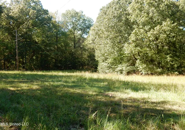 Photo 3 of Land for sale at Lot N 4 Crockett Rd, Senatobia, MS 38668 | MLS# 4128830 | Listing updated on 2026-03-30