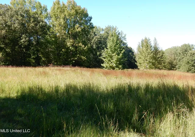 Homes for sale in Senatobia, MS | Lot 5 N Crockett Rd, Senatobia, MS 38668 | MLS# 4128832