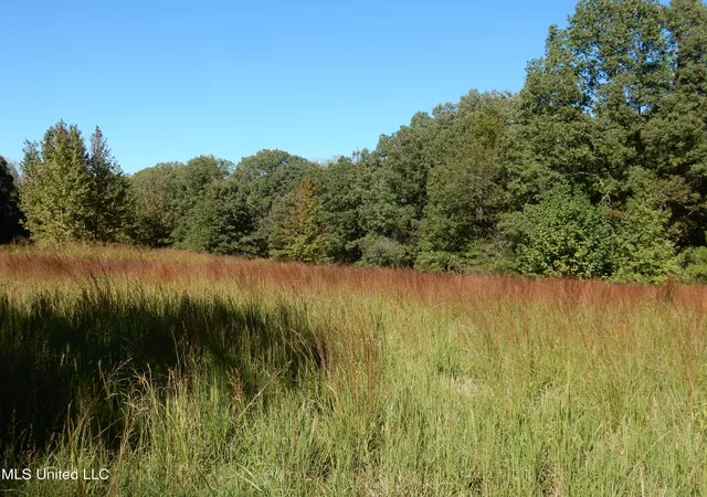 Homes for sale in Senatobia, MS | Lot 5 N Crockett Rd, Senatobia, MS 38668 | MLS# 4128832