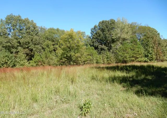 Homes for sale in Senatobia, MS | Lot 5 N Crockett Rd, Senatobia, MS 38668 | MLS# 4128832