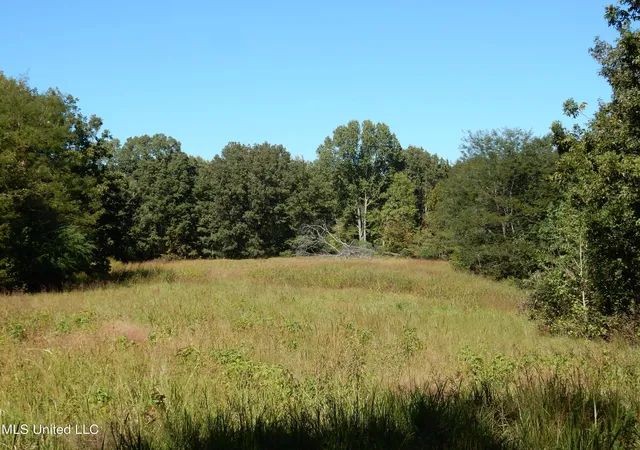 Homes for sale in Senatobia, MS | Lot 6 N Crockett Rd, Senatobia, MS 38668 | MLS# 4128833