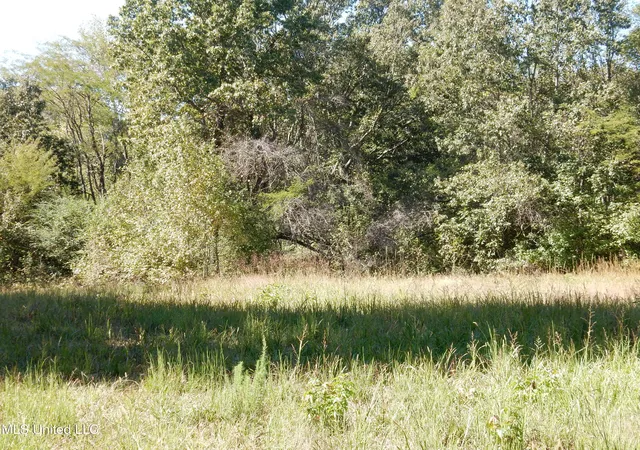 Homes for sale in Senatobia, MS | Lot 6 N Crockett Rd, Senatobia, MS 38668 | MLS# 4128833
