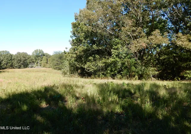 Homes for sale in Senatobia, MS | Lot 6 N Crockett Rd, Senatobia, MS 38668 | MLS# 4128833