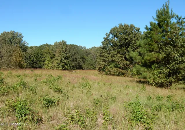 Homes for sale in Senatobia, MS | Lot 7 N Crockett Rd, Senatobia, MS 38668 | MLS# 4128834