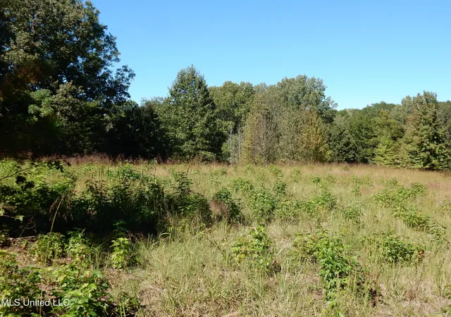 Homes for sale in Senatobia, MS | Lot 7 N Crockett Rd, Senatobia, MS 38668 | MLS# 4128834