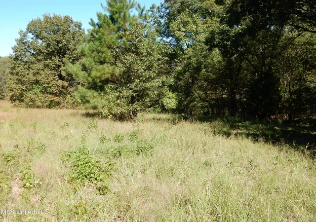 Homes for sale in Senatobia, MS | Lot 7 N Crockett Rd, Senatobia, MS 38668 | MLS# 4128834