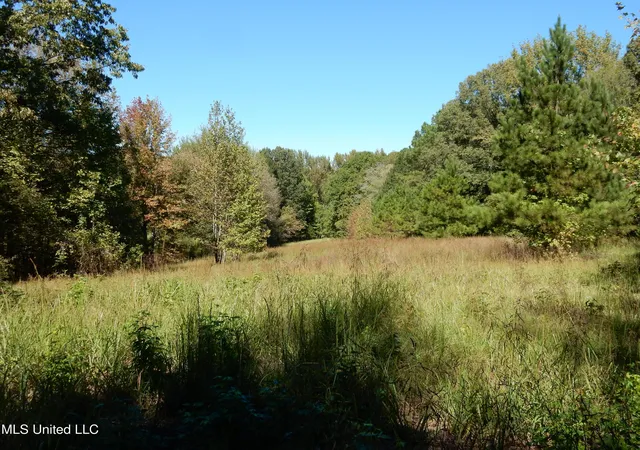 Homes for sale in Senatobia, MS | Lot 8 N Crockett Rd, Senatobia, MS 38668 | MLS# 4128839