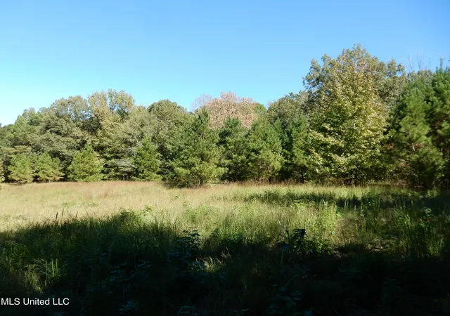 Homes for sale in Senatobia, MS | Lot 8 N Crockett Rd, Senatobia, MS 38668 | MLS# 4128839